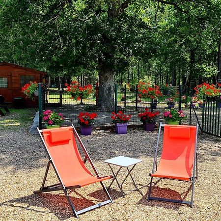 Le Chalet Des Pins Ξενοδοχείο Rougeou Εξωτερικό φωτογραφία