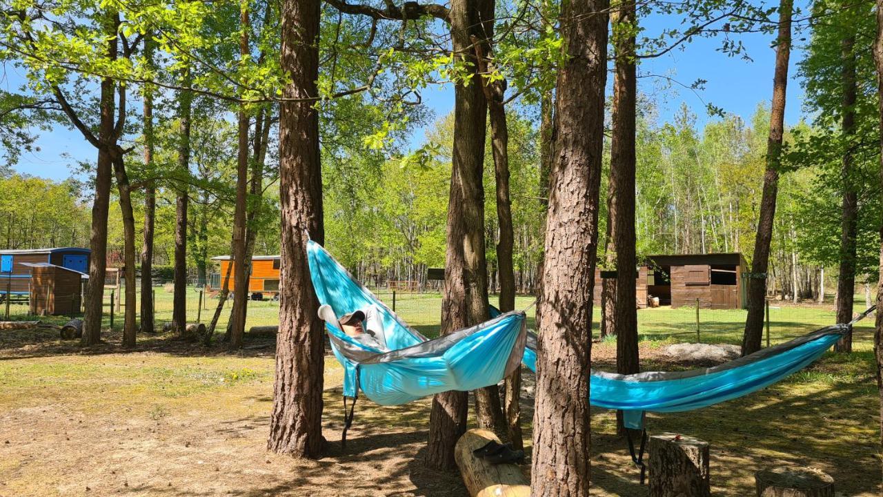 Le Chalet Des Pins Ξενοδοχείο Rougeou Εξωτερικό φωτογραφία