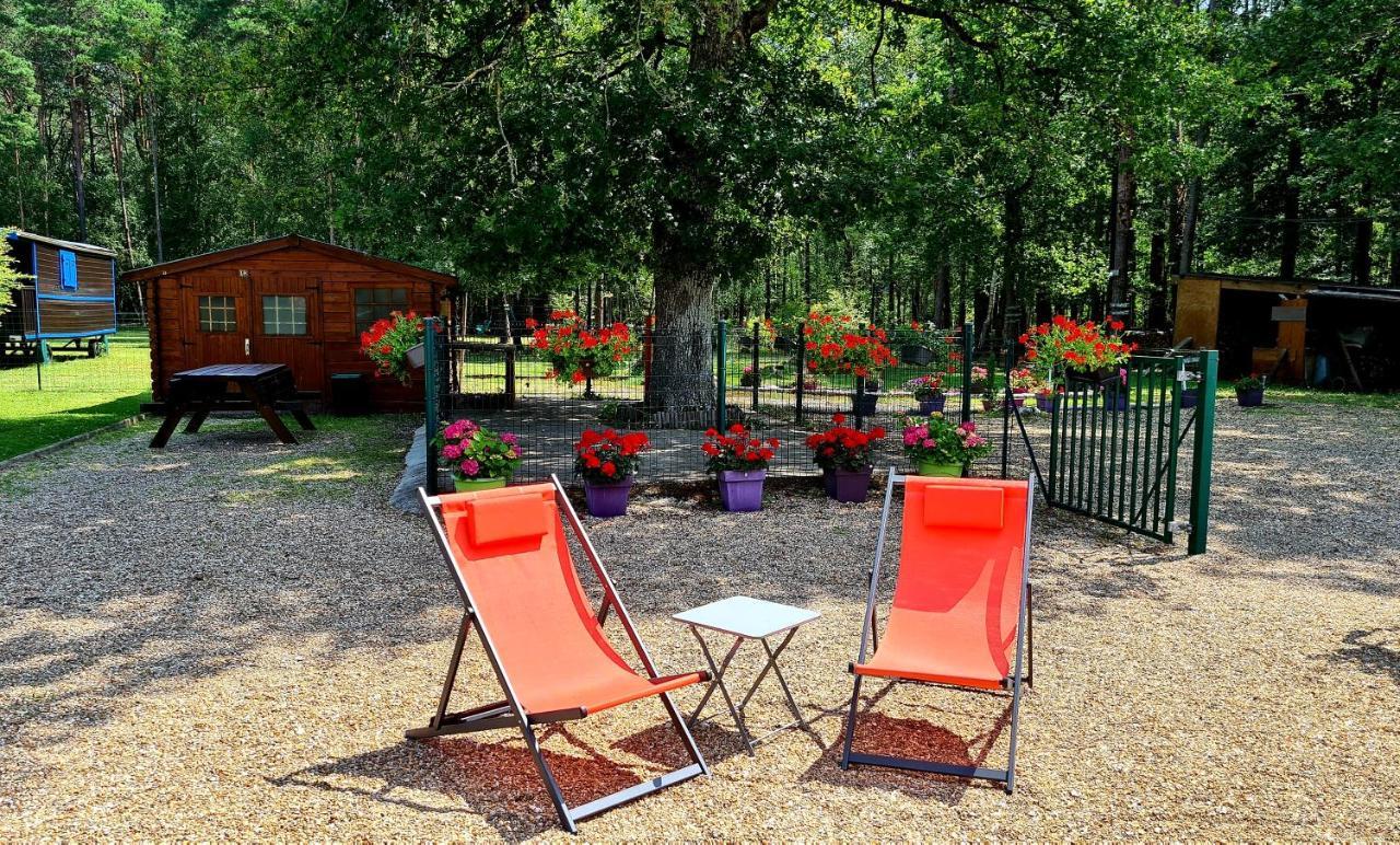 Le Chalet Des Pins Ξενοδοχείο Rougeou Εξωτερικό φωτογραφία