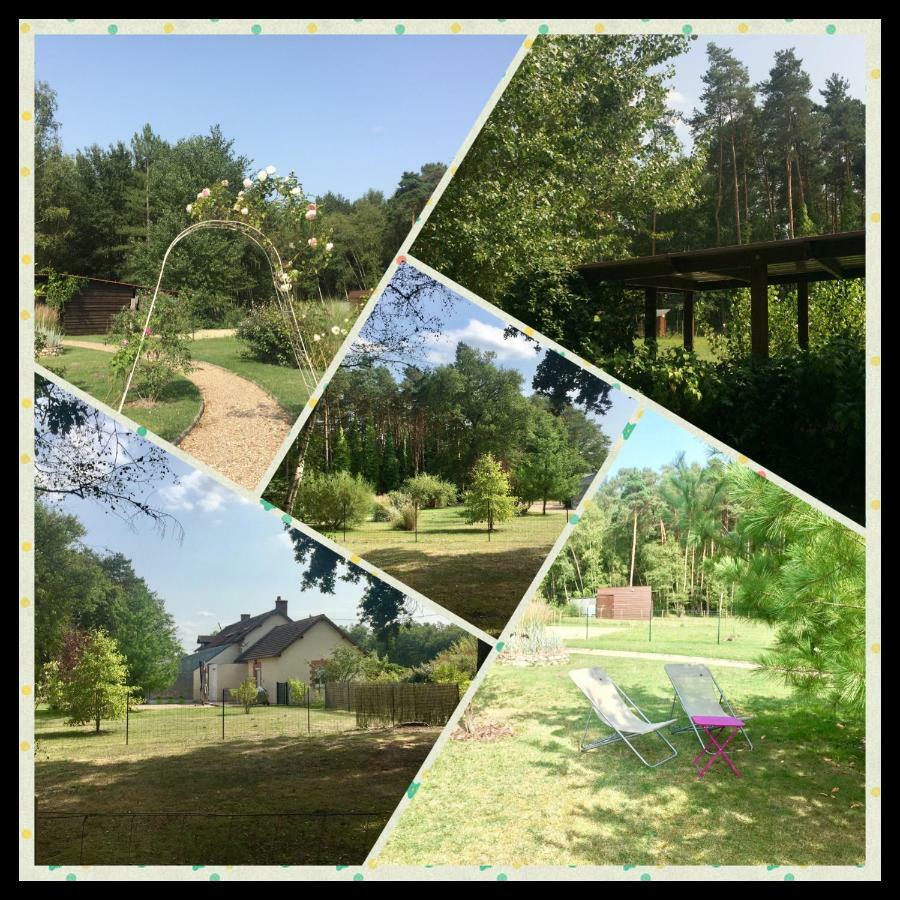 Le Chalet Des Pins Ξενοδοχείο Rougeou Εξωτερικό φωτογραφία